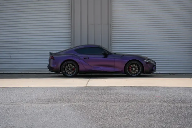 카지노 쇼릴 빙고 안드로이드/iOS 앱